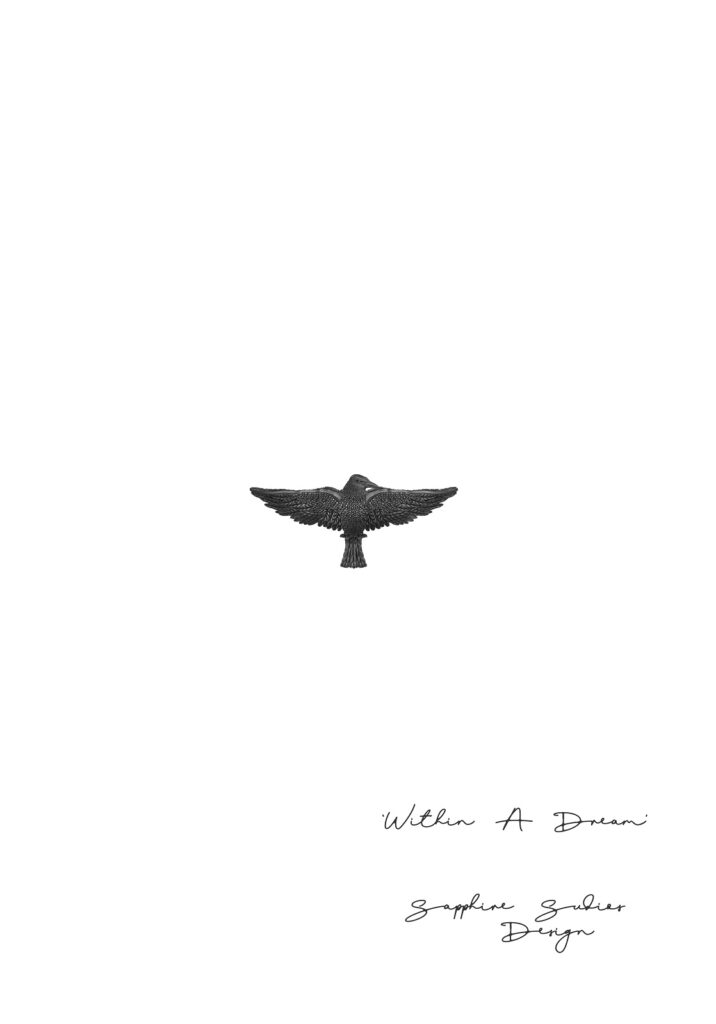Within a Dream' Black Raven Necklace