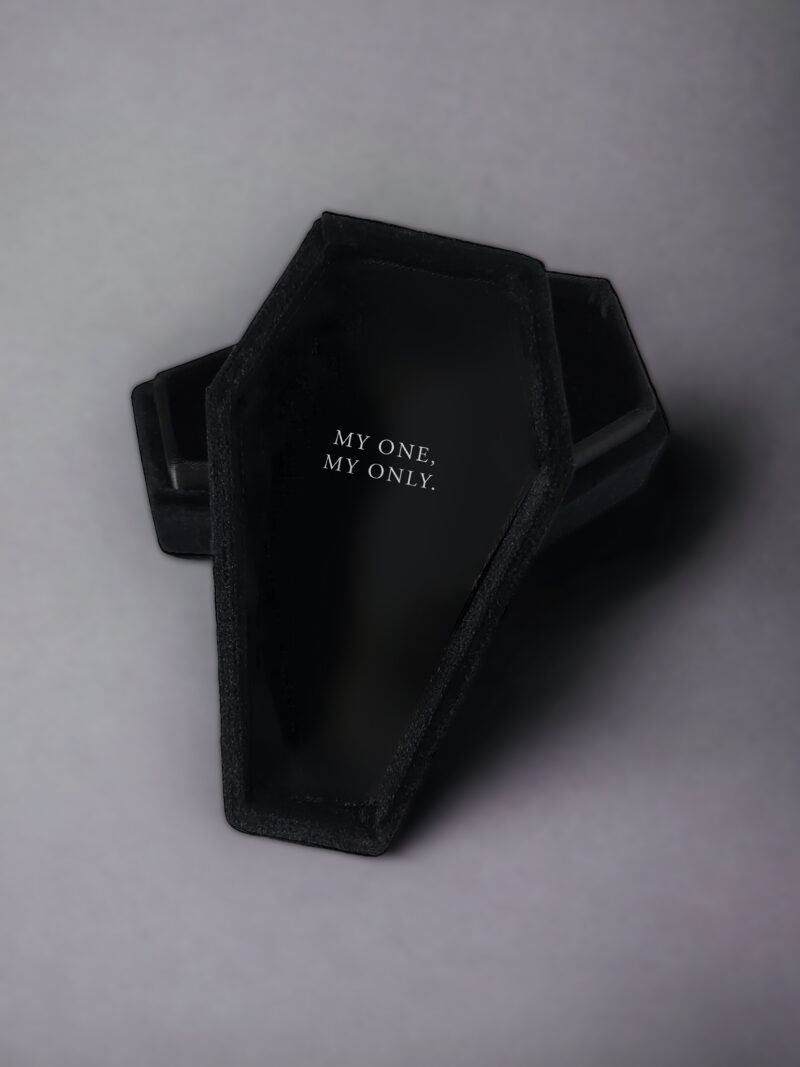 My_only_custom_coffin_ring_box_gothic
