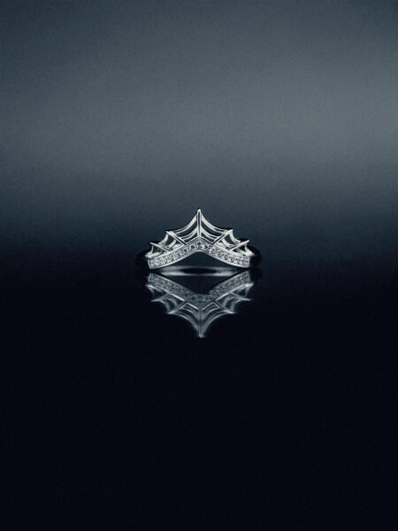 Avalee-spider-web-Wedding band